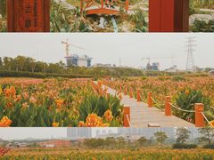 -那考河湿地公园
