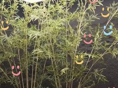 -宫七SPA·高端Massage(浦东大道店)