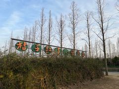 -前小桔亲子创意农场·草莓采摘·露营烧烤