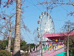 -广东花都香草世界旅游度假区