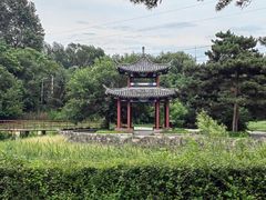 -黑龙江省森林植物园