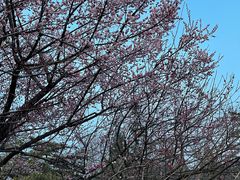 -万柳阁小馆·花园餐厅(龙潭湖店)