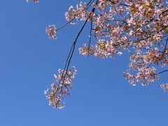 -新江湾城公园