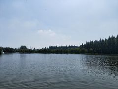 -天目湖山水园