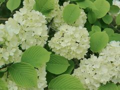 -杭州师范大学(下沙校区)