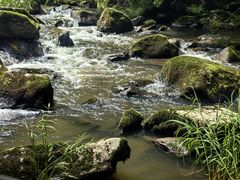 -茅兰沟国家森林公园
