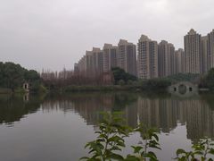-成都南湖公园