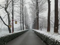 -洋湖国家湿地公园