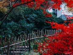 -岳麓山风景名胜区