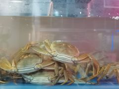 -二钳洞庭虾蟹·江湖菜(成都鹭岛店)