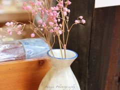 干花-猫的天空之城概念书店(杭州南宋御街店)