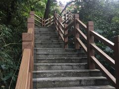 -广州市帽峰山景区