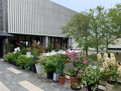 -南紀白浜 浜千鳥の湯 海舟