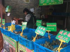 -召稼楼永茂昌粽子大王