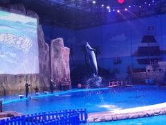 -华夏文旅海洋公园