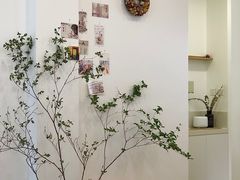 -团子君寿司·茶