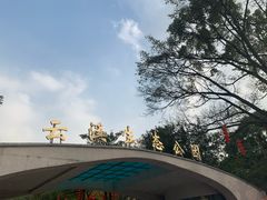 -云溪植物园