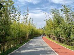 -上海长兴岛郊野公园