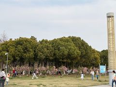 -滆湖低碳生态公园