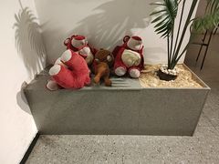 -马兰卡西式简餐(新汇大融城店)