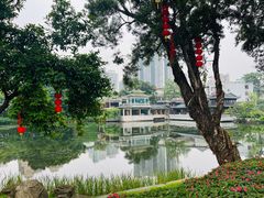 -荔湾湖公园