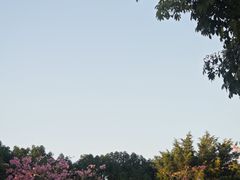 -风云岭森林公园