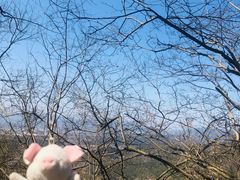 -天台山赤城山景区