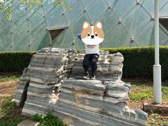 -泰丰公园