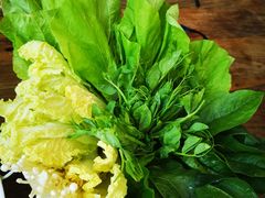 -悦哉·派对·草坪婚礼·围炉煮茶(三圣乡店)