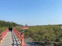 -北海金海湾红树林生态旅游区