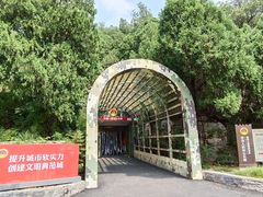 -佛慧山