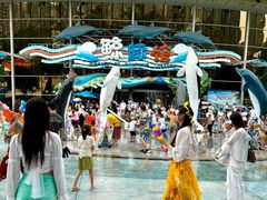 -海合安成都极地海洋公园