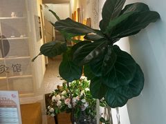 -左悦·艾灸调理·推拿按摩·精油SPA(卓悦汇店)