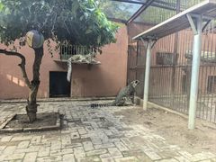 -青藏高原野生动物园