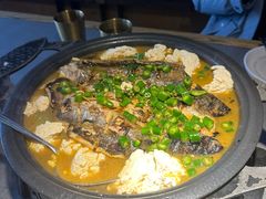 -探鱼·鲜青椒爽麻烤鱼(天一广场店)