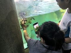 -大连圣亚海洋世界