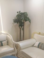 -上海伊莱美医疗美容医院