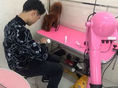 -翊宠yipet猫狗购宠庄园犬舍•猫舍