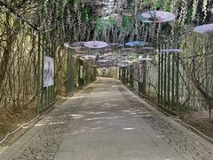 -苏州太湖国家湿地公园