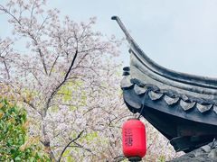 -巡塘古镇