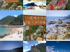 -杨梅坑