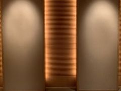 -上海柏悦酒店
