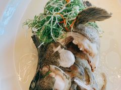 清蒸老虎斑-伯衡55·吉品轩(乌鲁木齐南路店)