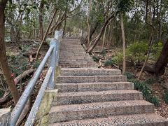 -紫金山山顶公园