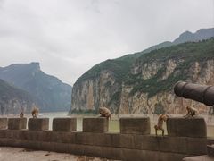 -白帝城·瞿塘峡景区