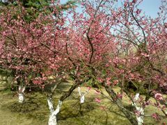 -白塘生态植物园