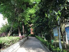 -喷泉公园