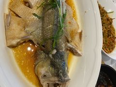 -眉州东坡(北苑华贸店)