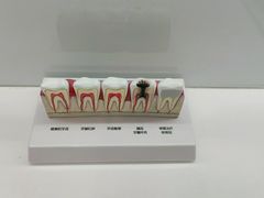 -维乐口腔(美维云门诊陆家嘴店)