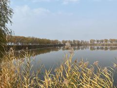 -野鸭湖国家湿地公园